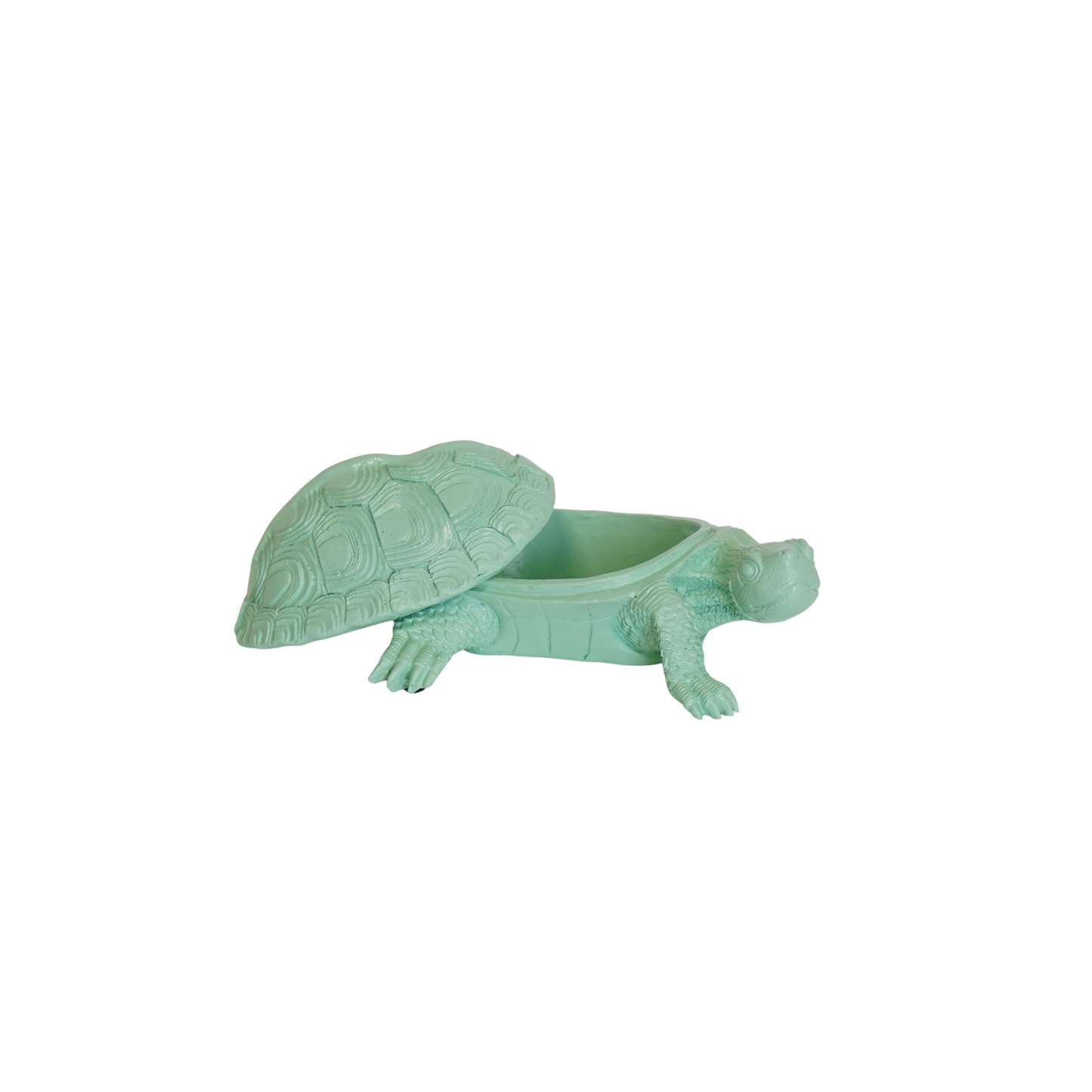 Schildpaddoos - Polyresin - Mintgroen - 15,5x13,5x7,5cm