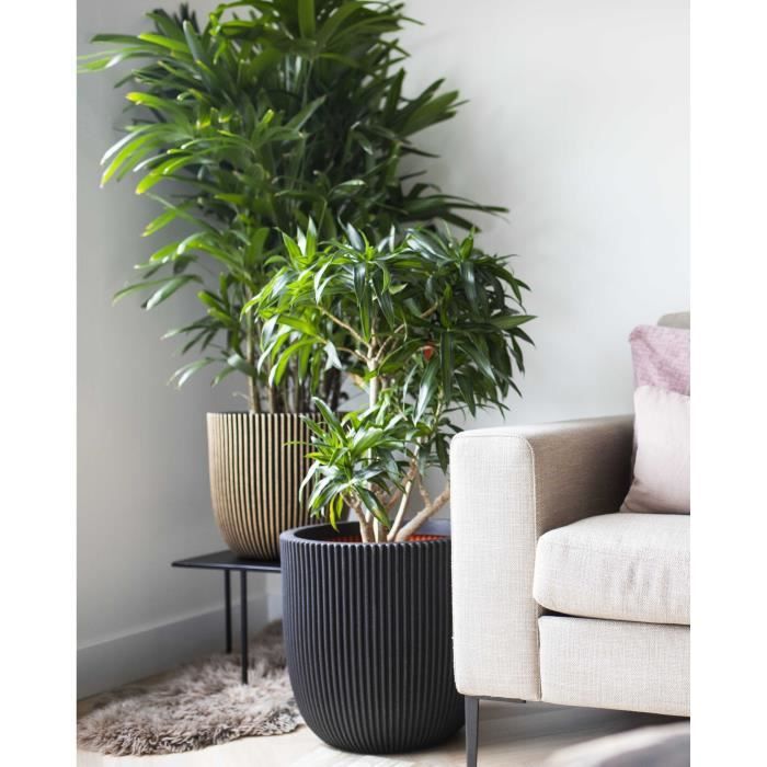 Capi Jardiniere Nature Rib 43x41 cm zwart KBLR933 424234