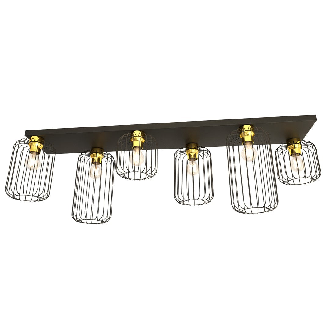 SCHUUR 6 BL GOUD
