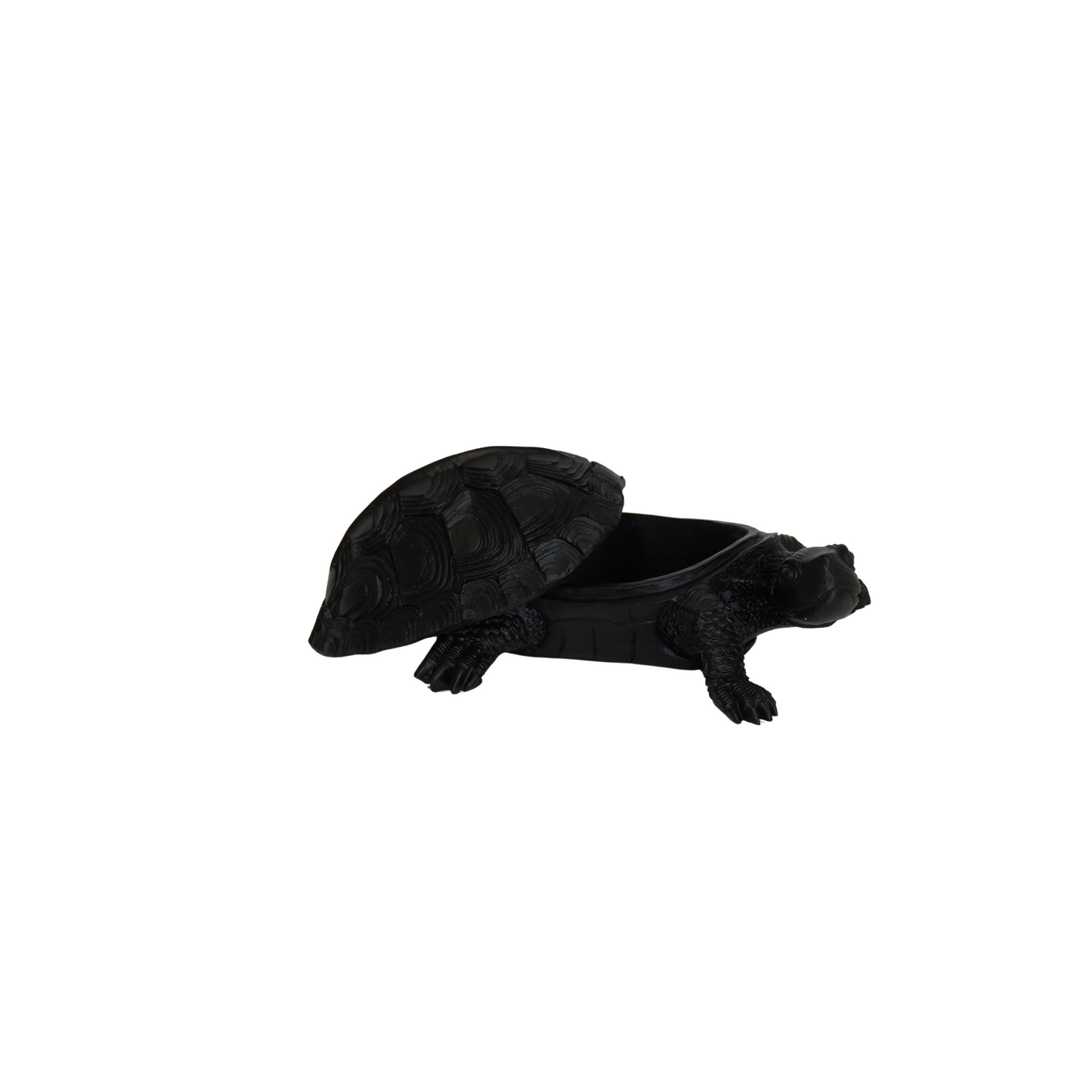 Schildpad Box - Polyresin - Zwart - 15,5x13,5x7,5cm