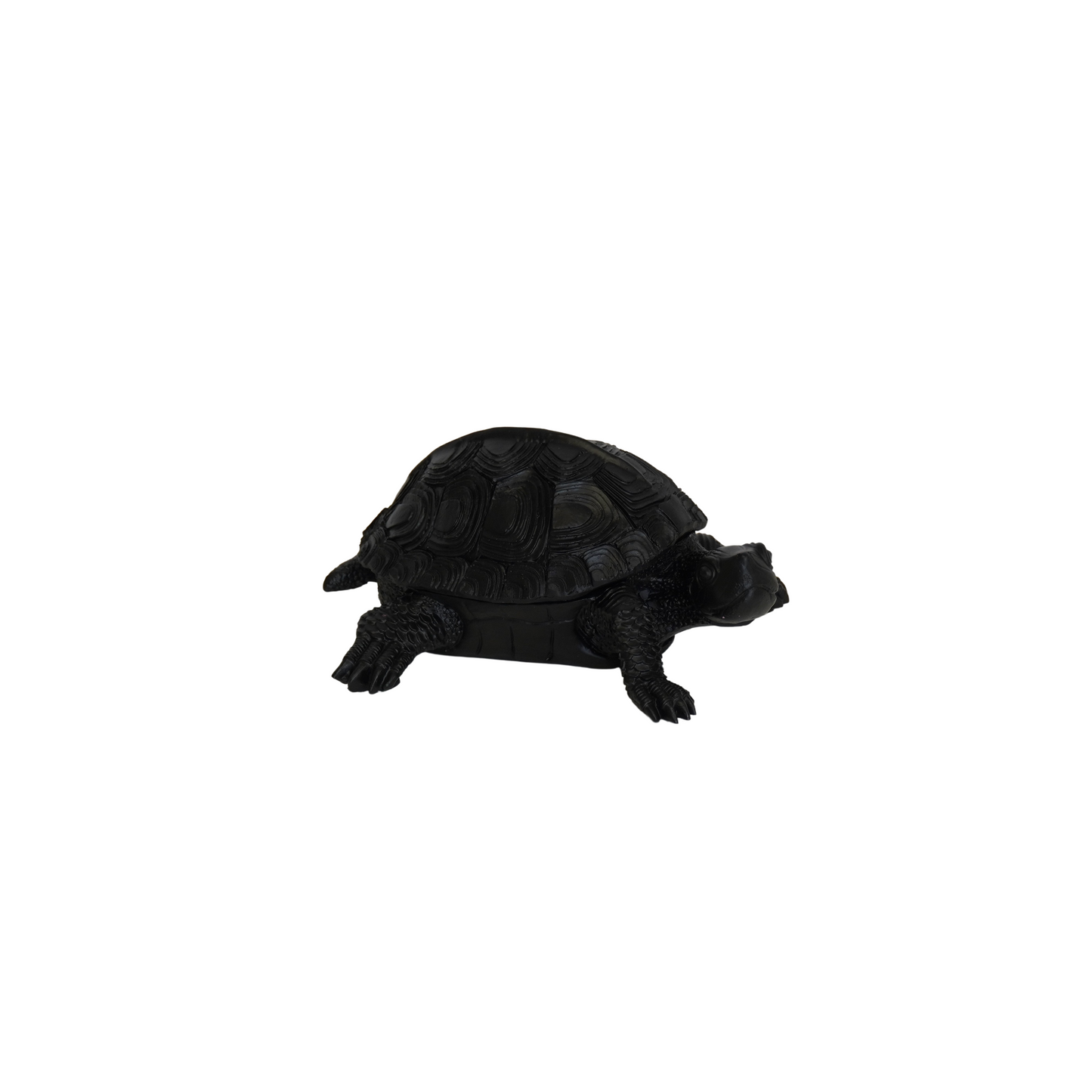 Schildpad Box - Polyresin - Zwart - 15,5x13,5x7,5cm