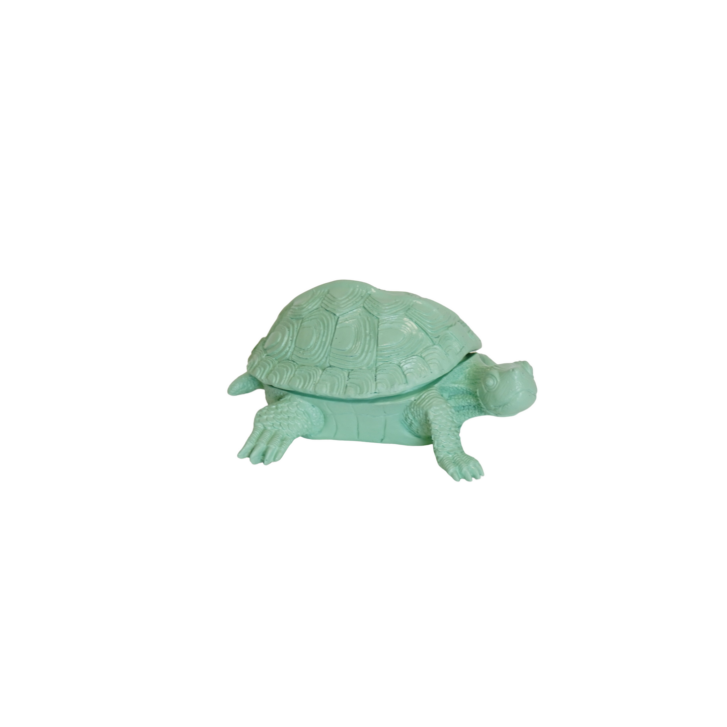 Schildpaddoos - Polyresin - Mintgroen - 15,5x13,5x7,5cm