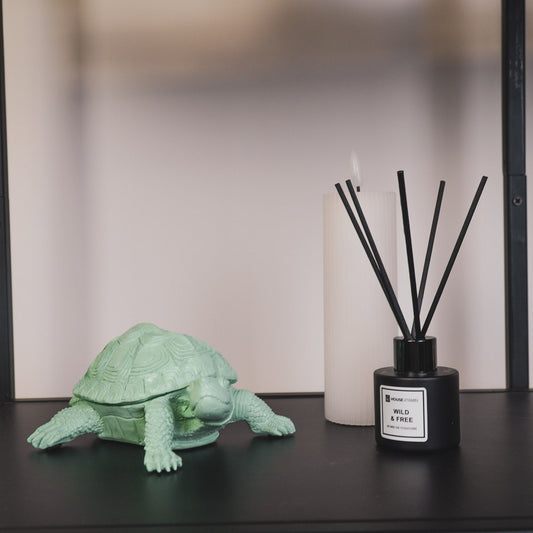 Schildpaddoos - Polyresin - Mintgroen - 15,5x13,5x7,5cm