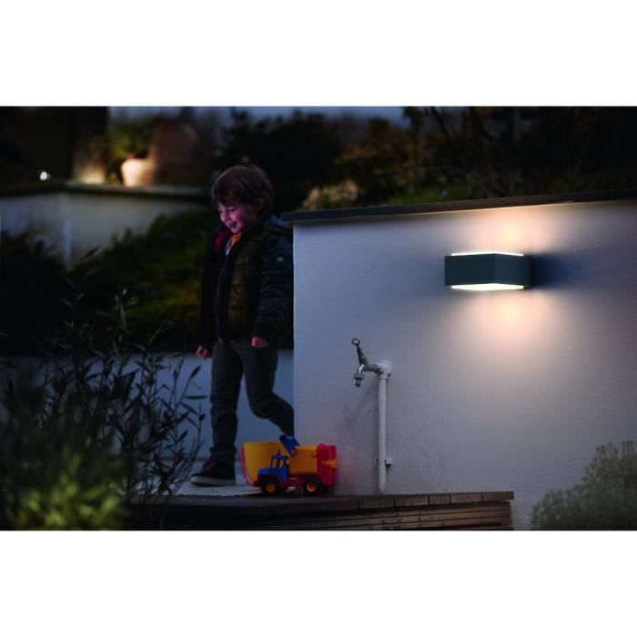 PHILIPS Hedgehog Buitenwandlamp - Antraciet - 1x42W